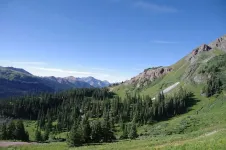 20011083558_6b6836bf67_z.webp