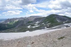 19579538003_2521a1941a_z.webp