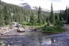 20206430791_2b0c17a6a8_z.webp