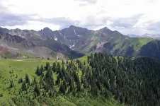 20204554972_f7922f43a0_z.webp