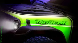 807b92d7b3aa0b83b8de23e6031%2F203495490%2FTrailcat.webp
