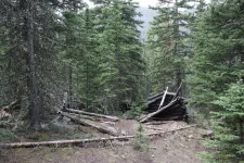 27164859460_262c3efb65_k.webp