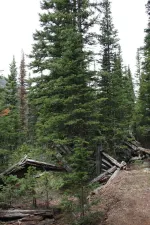 26834057583_de0169d313_k.webp