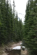 27369554071_7576efe37a_k.webp 27369554071_7576efe37a_k.webp