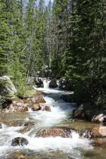27567764070_d4edb6f92e_k.webp