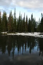 27744072222_f42f6c6560_k.webp