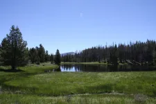 28006452812_f2cccb7775_k.webp 28006452812_f2cccb7775_k.webp