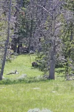 28108948465_236ed493a3_k.webp