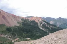 29088309516_89c0f22621_b.webp