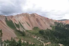 29088303766_c6e508bf03_b.webp