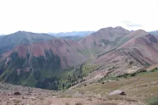 29088362616_fc6c0541f4_b.webp