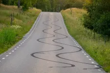 64524765-burn-out-marks-on-a-country-road.webp