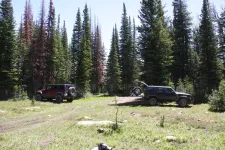 28244171735_9c664ab2da_k.webp