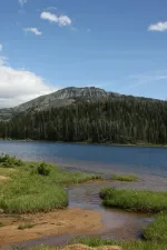 28166271851_f887b55bb7_k.webp