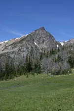28166477181_9acbe4d1b4_k.webp