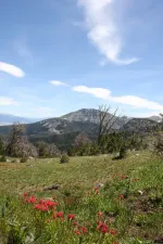 28210376556_5cfc07ca86_k.webp