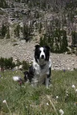 28140148792_b51e81bd9f_k.webp