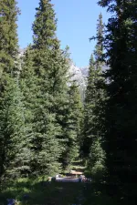28733962946_530a3bd313_k.webp