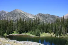 28765337445_1a7dd8276b_k.webp
