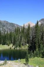 28734286376_c26f8fed4c_k.webp