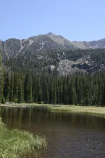 28147838874_019daeea8c_k.webp