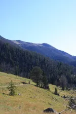 28935413285_6369a7c1bc_k.webp