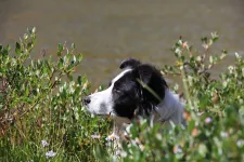 28859142701_d23537b4e7_k.webp