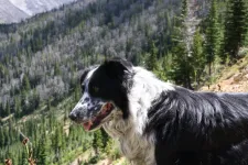 28935354765_347c6b704f_k.webp