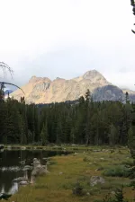 29342674595_a0aee7bf9b_k.webp