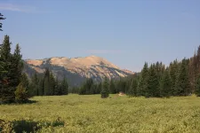 29308590956_2d3ff57f3e_k.webp