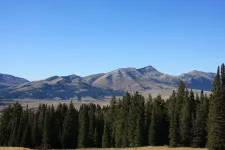 29523609560_f258829f93_k.webp