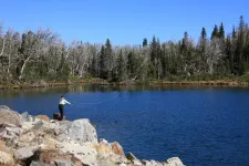 29973268766_c5f0033a2e_k.webp
