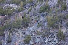 29380647983_18bc9f3ca1_k.webp