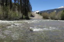 34395677694_4291720ca4_b.webp