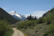 34395639954_c05a9fed75_b.webp