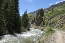 34395660154_032dc5c90f_b.webp