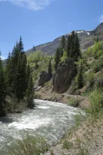 34430821593_65895a6c90_b.webp