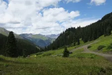 36505973922_b700746744_z.webp