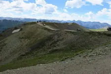 36279562830_7c533020b7_z.webp