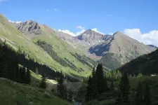 36505962482_99f25527ef_z.webp