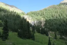 36505962132_a3aaa60560_z.webp