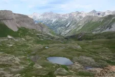 36505935852_95a335cb35_z.webp