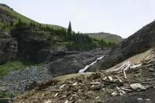 36675361315_8048c75750_z.webp