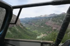 35866025893_e3d977c4a9_h.webp
