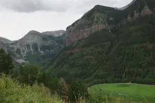35866022803_612935ad32_h.webp