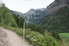 35840377854_8038610292_h.webp