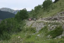 36279466270_15550d88d6_h.webp