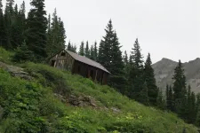 35866005013_527c075f72_h.webp