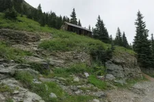 36279463960_5d28737917_h.webp
