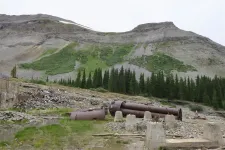 36279447070_e0685c6c33_h.webp